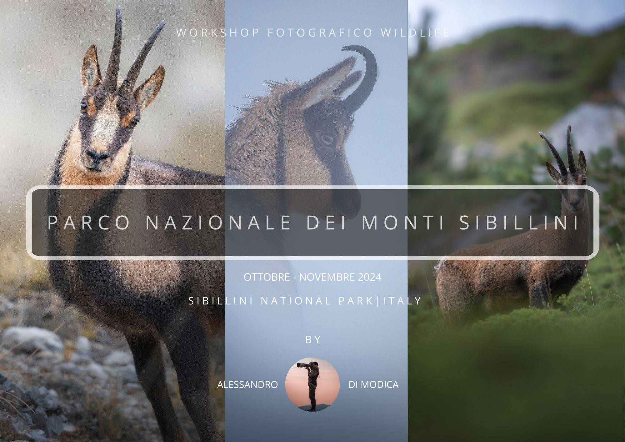 SIBILLINI MOUNTAINS NATIONAL PARK OCTOBER-NOVEMBER 2024